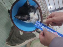 -嘉馨宠物医院·CT影像转诊·心脏科·犬猫全科诊疗中心(下沙大学城院区)