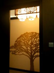 -脉道美容养生会所