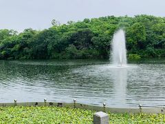 -广州莲花山旅游区
