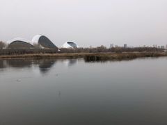 -哈尔滨大剧院