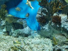 -福州罗源湾海洋世界旅游区