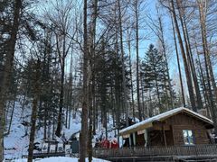 -峡谷浮石林景区