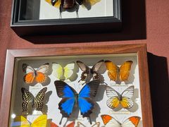 -汉堡王(北京通州领展店)