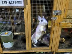 -西西里轰趴日租聚会别墅·团建拓展