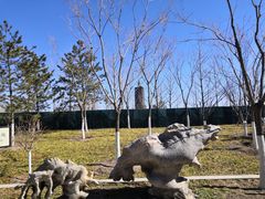 -西海子公园