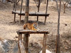 -济南野生动物世界