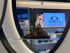 -宝岛眼镜·星创视光中心(黄河店)