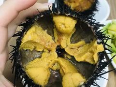 -海胆小馆(东北水饺·春柳店)