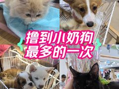 -宁波鄞州万达广场