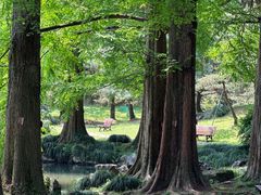 -杭州植物园