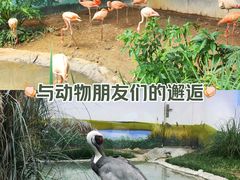 -成都动物园