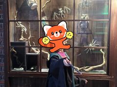 -逃脱反斗城沉浸剧情密室(阳光新业中心店)
