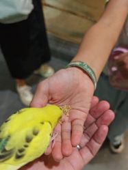 -酷嗒动物文化乐园(cutezoo西溪乐天城店)