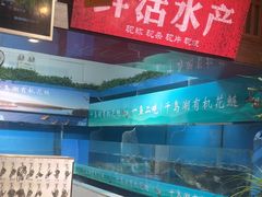 -永安水煮活鱼·仪征菜(仪征奥林匹克店)