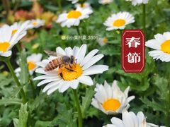 -东莞植物园