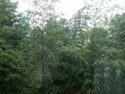 点击看大图 -馨月汇·一悦馨香月子中心(前滩店)