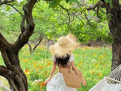 -名花谷生态庄园