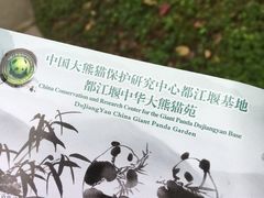 -都江堰中华大熊猫苑