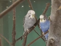 -上海大自然野生昆虫馆
