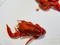-洪福龙虾