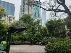 -九龙公园