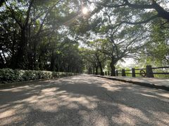 -大湾区中央湿地公园