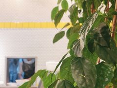 -三两春肚肺汤(崂山路店)