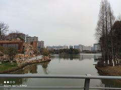 -青枫公园