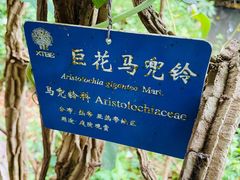 -中国科学院西双版纳热带植物园