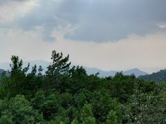 -武陵山森林公园
