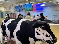 -红星前进面包牛奶公司(君太店)