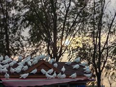 -天津妈祖文化园