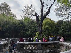 -习家池