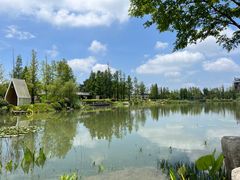 -铁山坪森林公园