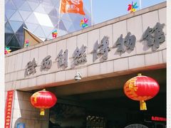 -陕西自然博物馆