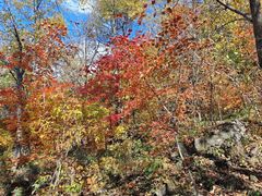 -五女峰国家森林公园