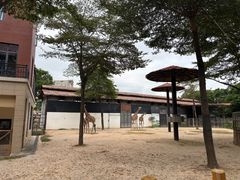 -灵玲国际马戏城