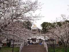 -苏州上方山国家森林公园
