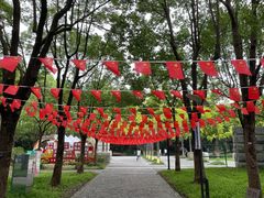 -上海吴淞炮台湾国家湿地公园