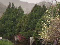 -北京鹫峰国家森林公园