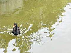 -颐和园