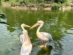 -云南野生动物园