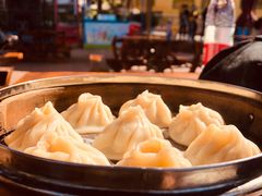 -无锡动物园·太湖欢乐园
