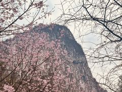 -南溪山景区