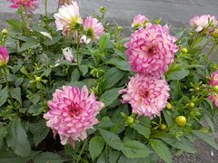 -和顺古镇