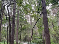 -长春净月潭风景名胜区