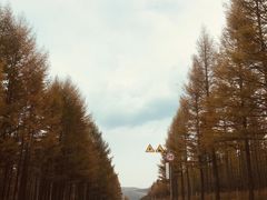 -塞罕坝国家级自然保护区