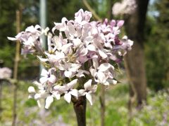 -盛福小关菜市场