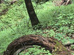 -松花湖风景名胜区