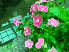 -利群海琴购物广场(商丘路店)